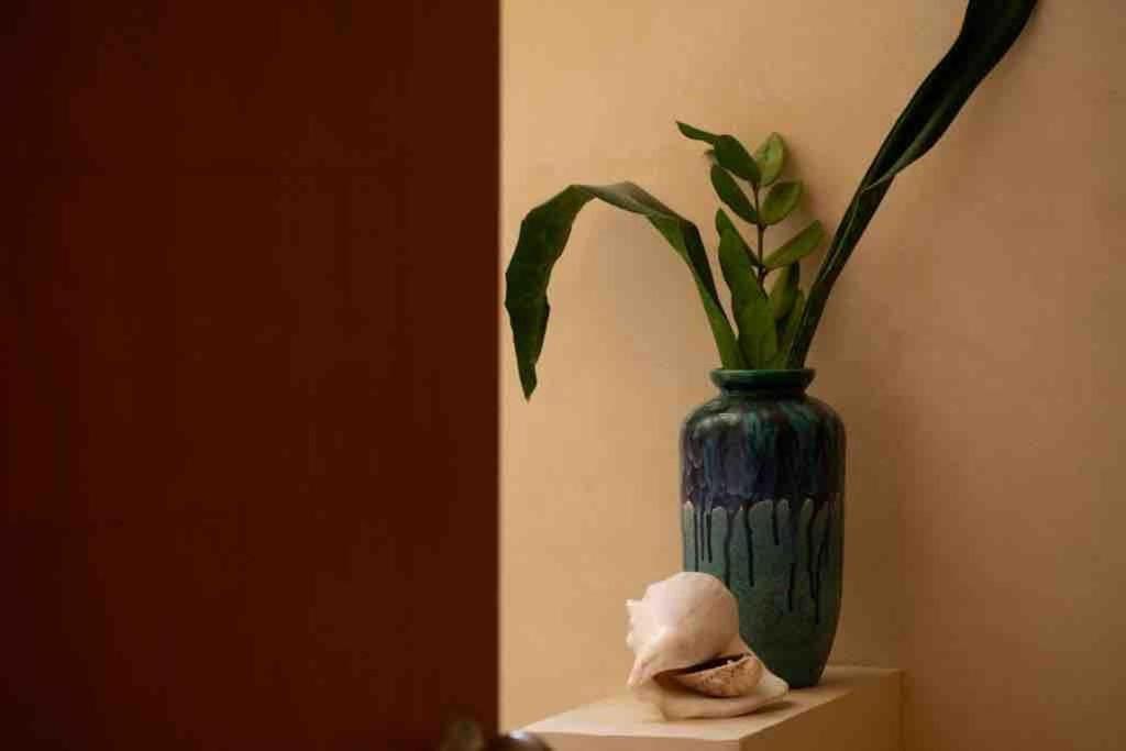 Disfruta En La Casa De Lola / Enjoy At Lolas House Progreso  Exterior foto