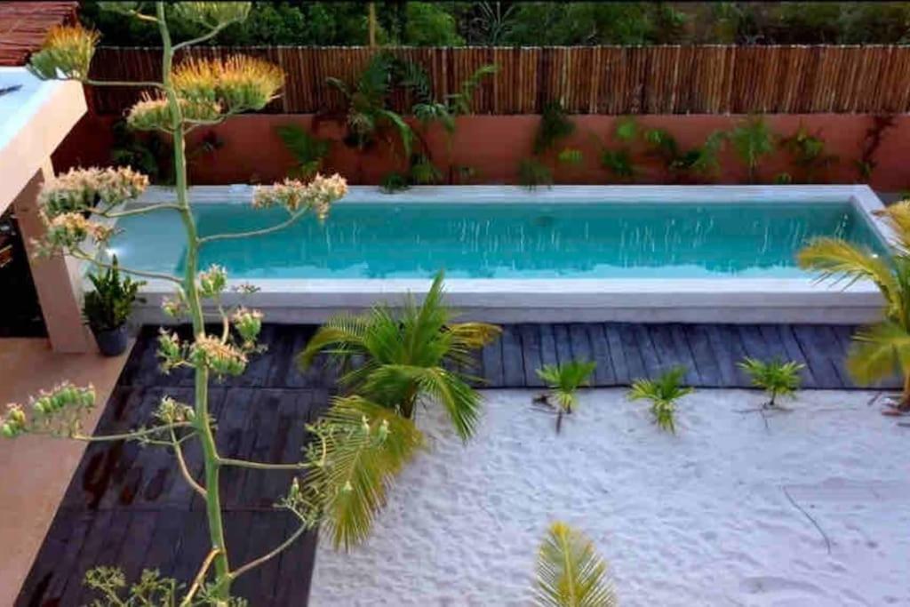 Disfruta En La Casa De Lola / Enjoy At Lolas House Progreso  Exterior foto
